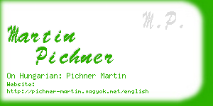 martin pichner business card